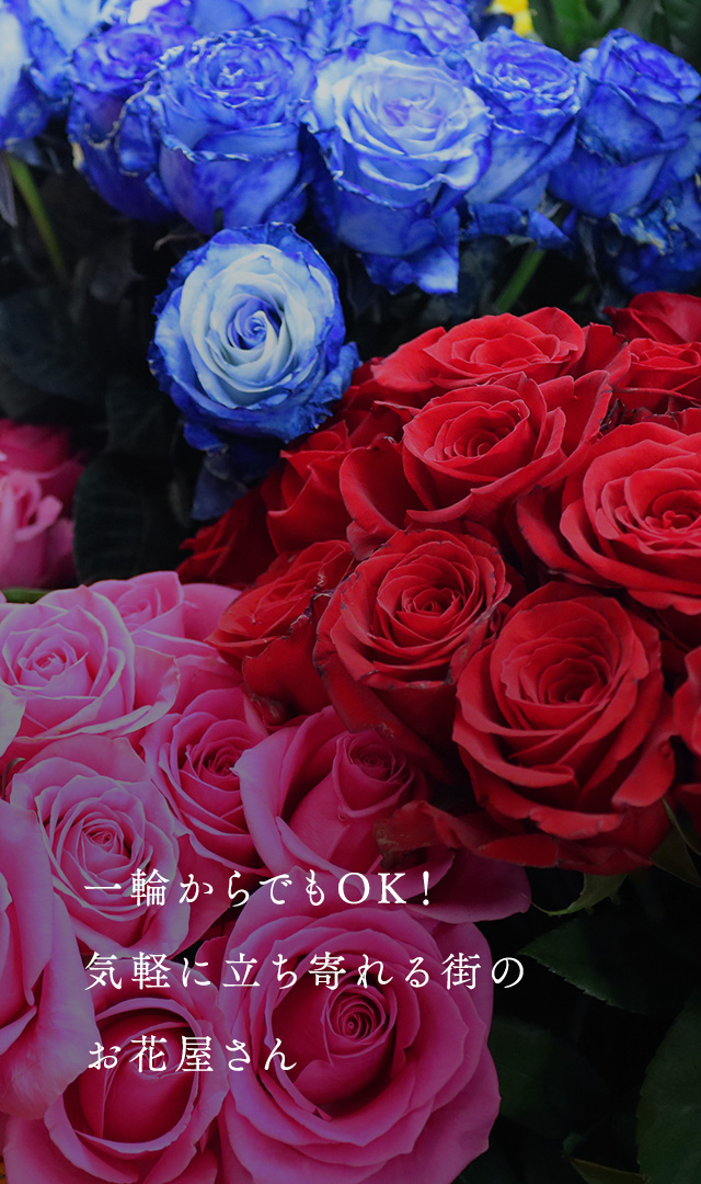 青い薔薇 様@オーダー品 x 4 青い薔薇 様@オーダー品 x 4｜メンテナンス